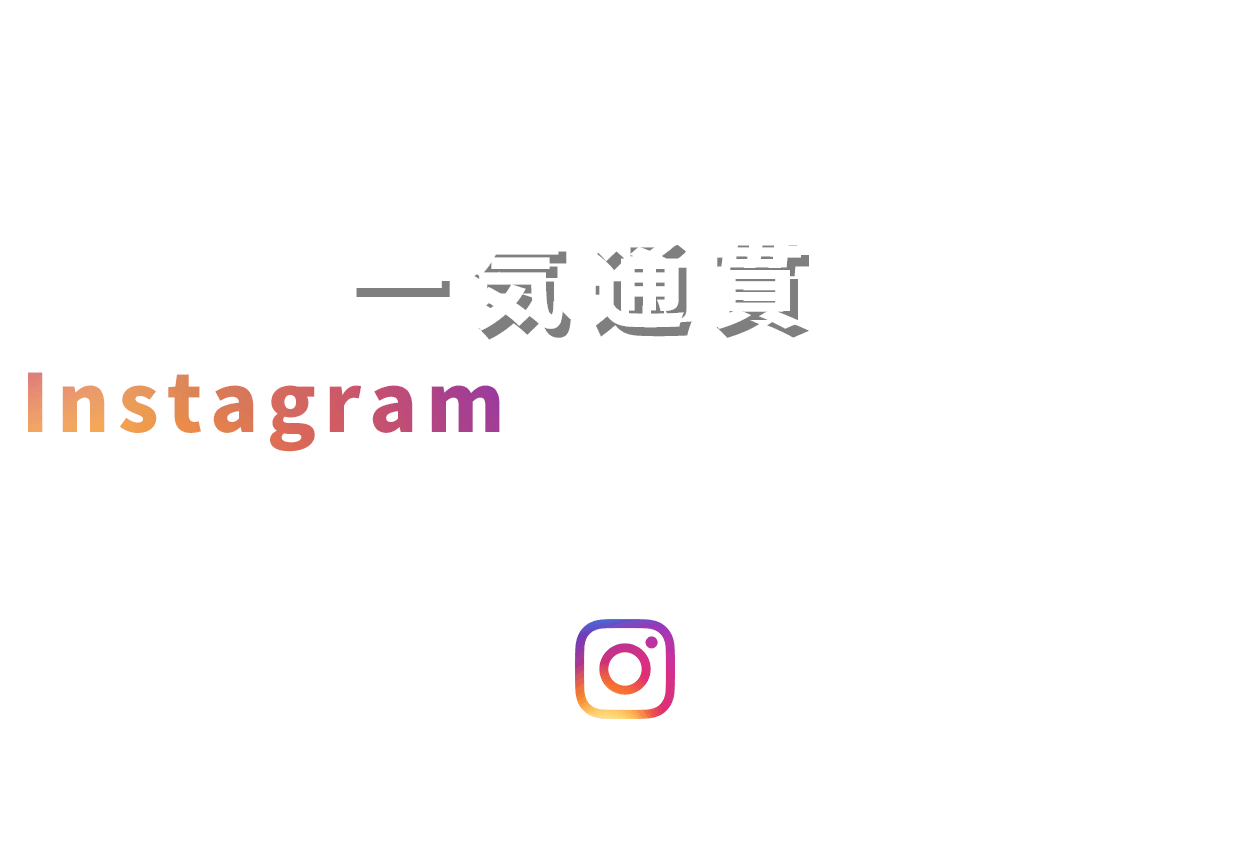 一気通貫でInstagramを活用した施策をトータルサポート